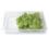 4181252 | GN container transparent | 1/1-100