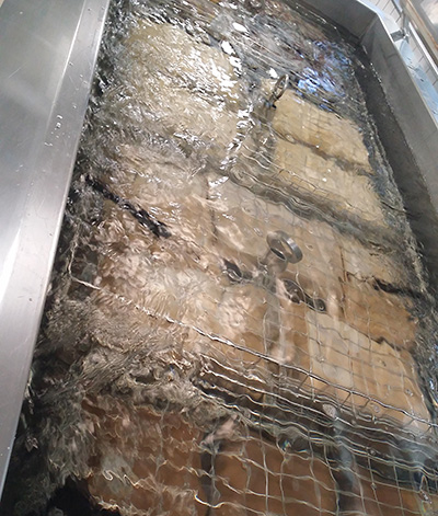 Sous Vide